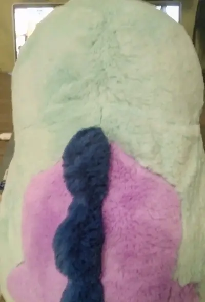 翻了翻记录竟然有三年前的订单，东西还是些小物，重量不多，走竹蜻蜓和ems都很方便，主要还是切煤，有优惠卷的时候非常划算