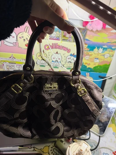 很喜欢的coach包，包包和商家描述一致，包包保存得很好状态很好呀，在煤炉很放心很便捷，下次还会购买的