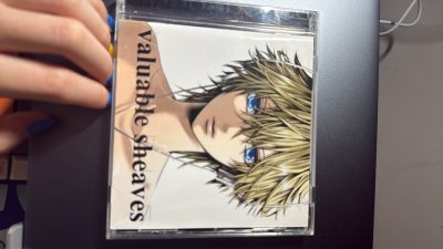 等了好久终于到了，封面好看，歌词本也超精致，播放出来的那一刻直接治愈所有不开心，太值了！客服小姐姐也很好哦！