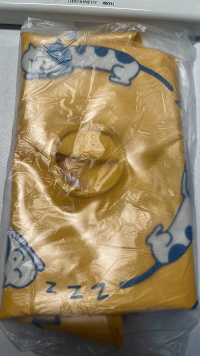 继续在挖煤姬海淘文具中，每次一不小心就买了一大堆。这回又买了一些文具，其实有一些都不知道是啥？比如这个猫咪游泳圈？反正可爱就买了。