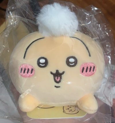 一个字：萌！又在垃圾屋上读博了，美滋滋
这次合单减重也退了差价，耗时：12.22号提交审核，12.25号审核通过，12.28号国际物流发货，1.8号正式到手！