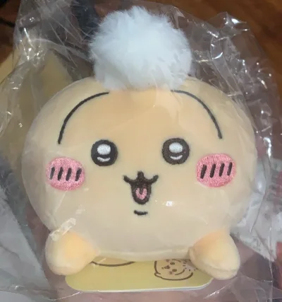 一个字：萌！又在垃圾屋上读博了，美滋滋
这次合单减重也退了差价，耗时：12.22号提交审核，12.25号审核通过，12.28号国际物流发货，1.8号正式到手！