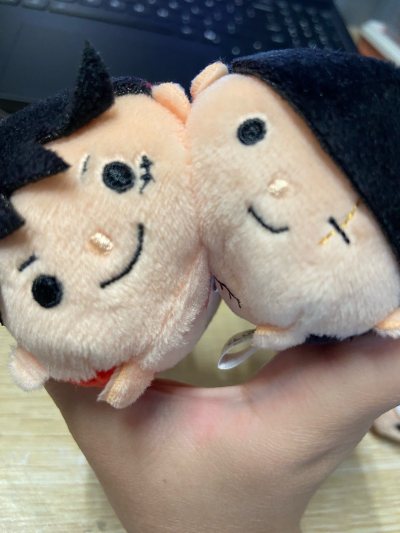 第一次体验用挖煤姬购物，购物体验非常好～有很多站点，这一次买的海贼王的毛绒玩偶和路飞电动猫都非常好价(*≧ω≦)从购入到发回国内流程都非常简单顺滑，我还会继续使用挖煤姬购物的（≧∇≦）