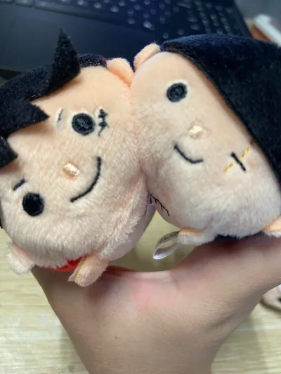 第一次体验用挖煤姬购物，购物体验非常好～有很多站点，这一次买的海贼王的毛绒玩偶和路飞电动猫都非常好价(*≧ω≦)从购入到发回国内流程都非常简单顺滑，我还会继续使用挖煤姬购物的（≧∇≦）