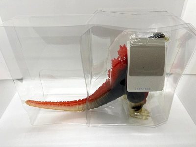 这次入手的Toy&amp;#39;s dream project限定版红莲哥斯拉套装太有收藏价值了！出自《哥斯拉：最终战役》，红黑渐变配色完美还原红莲形态的灼热感，背鳍与尾部渐变涂装细腻，还附赠了TOMY Charactermix哥斯拉头雕小玩具，全套包装完整，是哥...这次入手的Toy&amp;#39;s dream project限定版红莲哥斯拉套装太有收藏价值了！出自《哥斯拉：最终战役》，红黑渐变配色完美还原红莲形态的灼热感，背鳍与尾部渐变涂装细腻，还附赠了TOMY Charactermix哥斯拉头