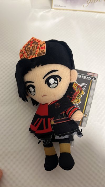 挖煤姬体验超棒！操作简单，代拍迅速，费用透明无隐形消费。包装严实加固到位，物流全程可查，时效稳定，客服耐心回复及时，日淘安心又省心，强烈推荐！