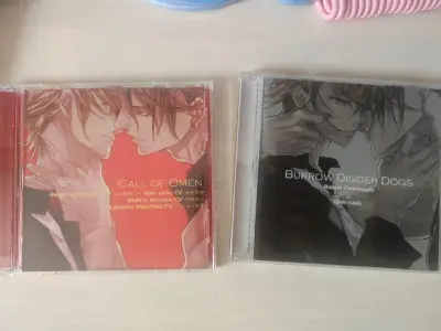 朱莉大小姐依旧颜值在线呀，虽然有小瑕疵但是樱花妹已经躺好了膜很贴心。然后CD虽然是中古品但是品相很好，收藏价值拉满了。