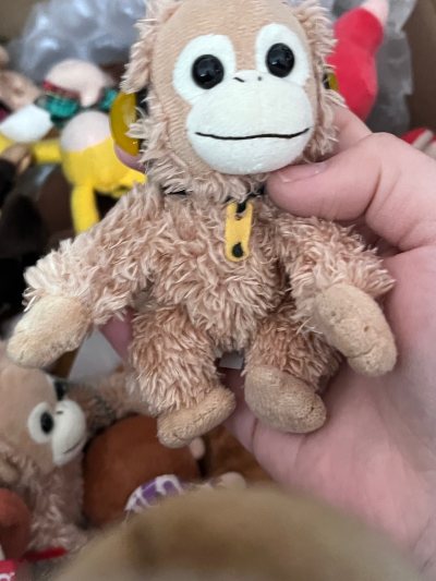 谁懂啊！在挖煤姬淘的小猴子玩偶也太萌了? 毛茸茸的手感超好，小表情灵动又治愈，实物比图片还可爱！日淘过程超省心，中文界面+自动翻译，打包防震做得超足，包裹一路平安到家，费用透明无套路，客服响应也快，以后日淘就锁死挖煤姬了！