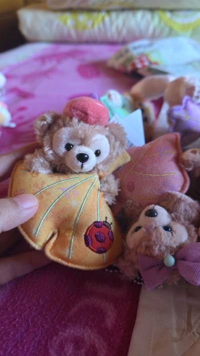 收到东迪秋日七宝玩偶挂件超出预期，做工扎实细节到位，手感柔软蓬松，颜色和图片一致没有色差。送给小朋友很合适，颜值高，真心推荐~平台发货速度快~性价比绝了！