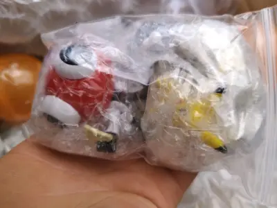 非常好的卖家。每一个都单独包装。包装的非常好。非常用心。第1次遇到那么好的卖家。希望老板发大财感谢老板