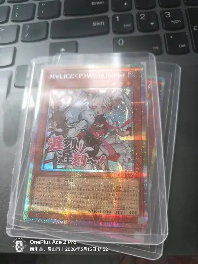 又快又好，rd的莉莉也能买到啦。rd画风好看，比原版还香香哒，而且编号也好，卡品也好，挖煤姬的竹青挺野很棒，直接没交关税



