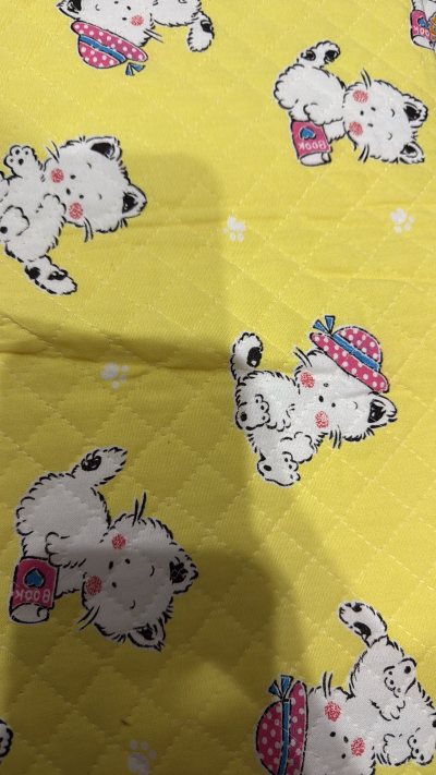 真的是收到了巨巨巨期待的一块绝版布料，真的太开心了，平安到家呀，完美 ，绝美了属于是，喜欢的不行嘿嘿