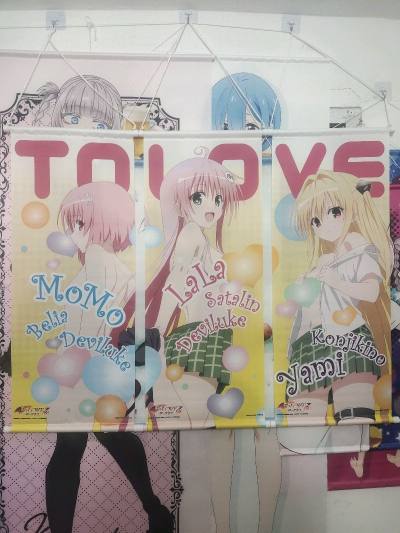 第二副小暗挂画，开心。可恶的藤本树，我的蕾塞特典刚到，就刷到电锯人离谱完结，属于是蕾塞篇剧场版赚麻了。