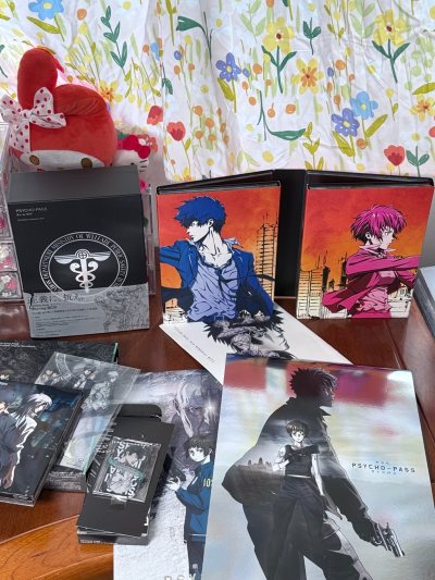 这个cd壳子真的好美，忍痛拿下！虽然算是好价了，挖煤姬拍卖特别划算，功能很好用，发货也很快，这种纸盒也完美无损，非常好，推荐～