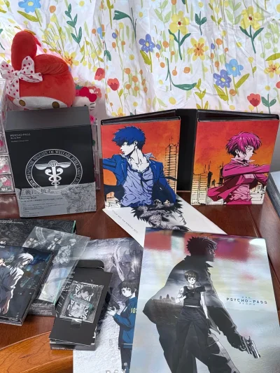 这个cd壳子真的好美，忍痛拿下！虽然算是好价了，挖煤姬拍卖特别划算，功能很好用，发货也很快，这种纸盒也完美无损，非常好，推荐～