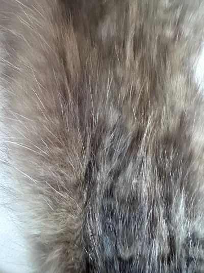 这是一款俄罗斯紫貂的围巾，整体色调以柔和的浅棕、米灰为主，夹杂着深灰与银白的渐变纹理，视觉上既温暖又富有层次感。毛发蓬松浓密，光泽自然柔和触感看起来柔软顺滑，保暖性不错。边缘处理整齐，没有杂乱的毛边，做工比较细致。买回来适合搭配我自己所有的大衣、羽绒服，提升整体穿搭...这是一款俄罗斯紫貂的围巾，整体色调以柔和的浅棕、米灰为主，夹杂着深灰与银白的渐变纹理，视觉上既温暖又富有层次感。毛发蓬松浓密，光泽自然柔和触感看起来柔软顺滑，保暖性不错。边缘处理整齐，没有杂乱的毛边，做工比较细致。买回来适合搭配我自己所有