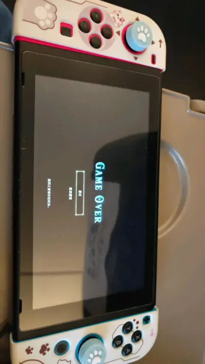 这是最满意的一次，460买了无包装的续航版，游戏机内还有128G的内存卡，加上运费和关税，还是比国内便宜，美滋滋。