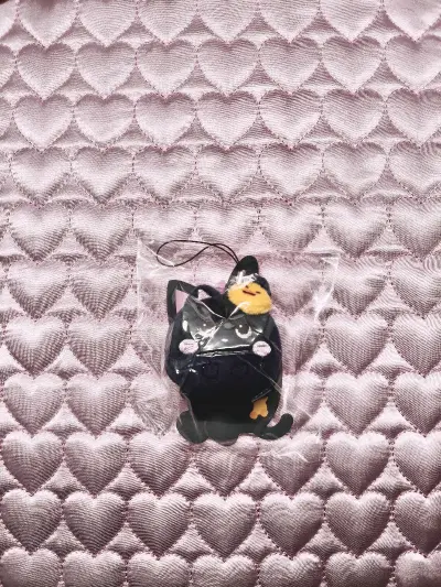 实物成色超新，几乎看不出使用痕迹，细节还原度拉满，完全超出预期。代购方打包特别仔细，用泡沫和缓冲材料裹得严严实实，跨洋运输也没有一点损坏。能以这么划算的价格收到心头好，真的太满足了！