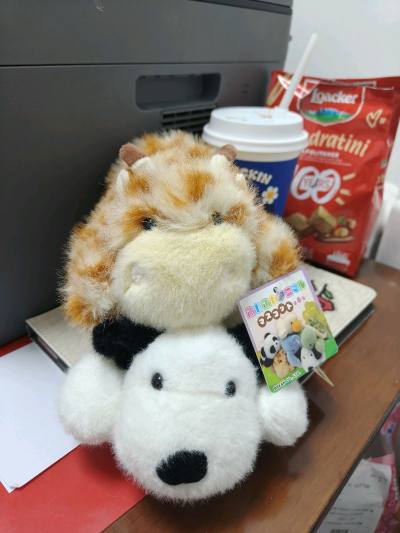 收到了超级可爱的小动物 走了竹蜻蜓包税路线 安全到家。包装上里里外外放了很多泡沫 收到没有损坏！很推荐！