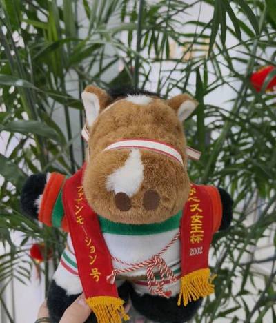 收到了挖煤姬好物 满满一大箱子 虽然重量运费爆炸 但好在没有税哈哈哈  东西都保存很好 打包也很用心 给力！