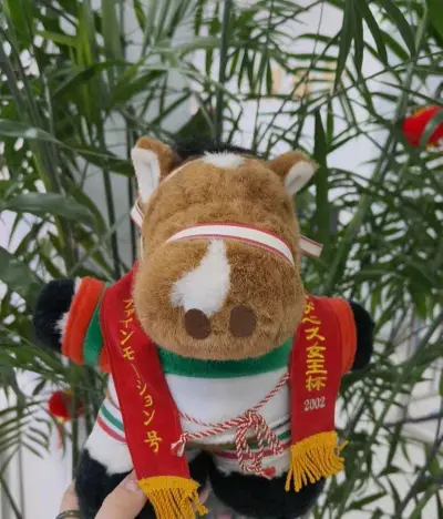 收到了挖煤姬好物 满满一大箱子 虽然重量运费爆炸 但好在没有税哈哈哈  东西都保存很好 打包也很用心 给力！