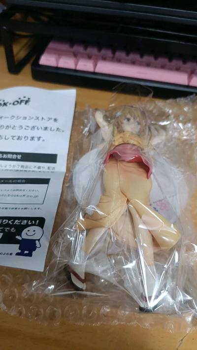 这次的购物我是非常非常的喜欢，手办也包装的很好，没有什么太大的问题，运输的时间也很短，一周左右就收到了!