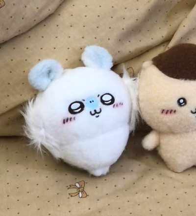 毛毛力好萌啊啊啊