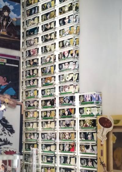 お帰りなさい～！漂洋过海的小宝贝们终于到家啦