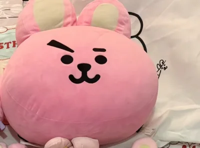 很喜欢这次的购物体验，会继续在这个平台购买非常快速的物流和便宜的价格很好的体验感，这些娃娃都是日本限定和日本迪士尼的周边收到我也很开心