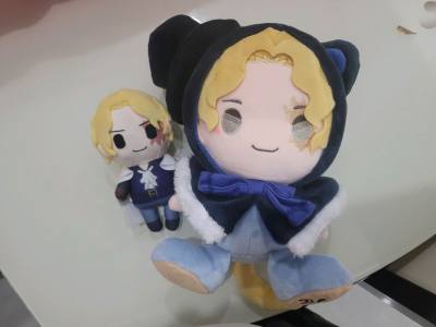 买了喜欢的角色的棉花娃娃?，为了赶生日直接用ems飞回来了！物流很快嘿嘿，娃娃也很可爱...喜欢！到手之后感觉好幸福...还买了其他东西，期待后面到货?