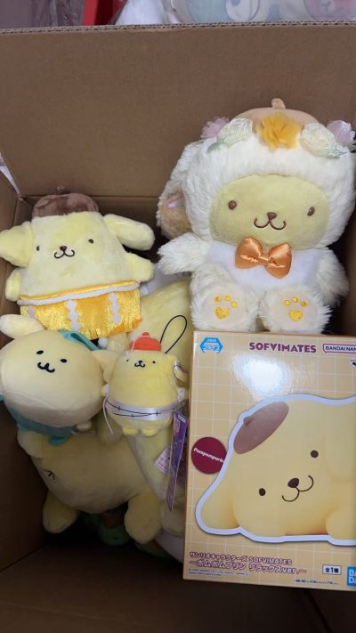 真的是布丁狗收藏家～满满一箱子布丁狗，太好看啦！包装的也很好，没有漏，特别满意，娃娃也很喜欢！物流也很棒，很快的！！！赞赞赞