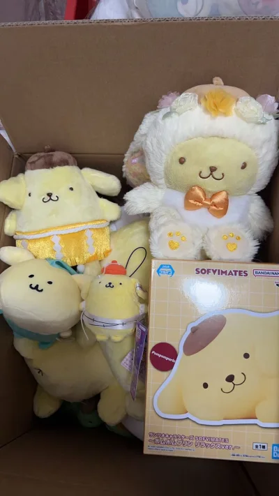 真的是布丁狗收藏家～满满一箱子布丁狗，太好看啦！包装的也很好，没有漏，特别满意，娃娃也很喜欢！物流也很棒，很快的！！！赞赞赞