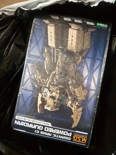 货物收到，包裹得还是非常不错的，泡泡纸裹得严严实实的，全新品没有任何盒子的损坏，这值得一赞，另一盒与卖家出货的图片一致，非常满意！



