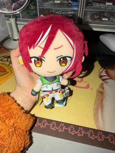 宝贝安全到家，三小只很萌啊，跟图片没有差异脸圆圆的。物流也很快，发货的第二天就到了耶耶耶，包装也很好，我拿钥匙差点划不开胶带，总体购物体验很满意