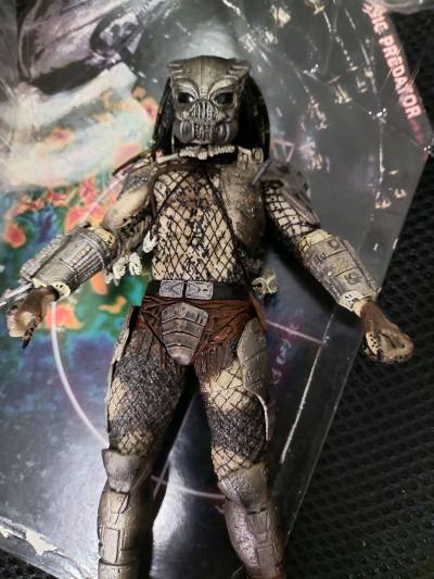 非常好，打包非常棒，物流也很快，卖家发货也非常快。多次购买非常愉快，太棒了，还得继续购买，希望平台越来越好！