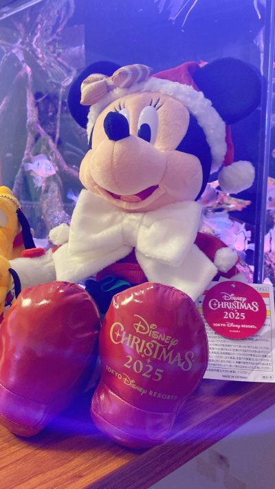 很早的海淘APP了，一直用挖煤姬和挖煤姬，今年似乎出现了其他日淘APP，我也有所耳闻，但是习惯了挖煤姬的流程和模式，也认可挖煤姬这么多年的努力，还有不断在位用户争取一些优惠和运输方式上的优惠，为大家提供方便，所以我也没有再用其他APP去日淘了，最近国际局势紧张，任意...很早的海淘APP了，一直用挖煤姬和挖煤姬，今年似乎出现了其他日淘APP，我也有所耳闻，但是习惯了挖煤姬的流程和模式，也认可挖煤姬这么多年的努力，还有不断在位用户争取一些优惠和运输方式上的优惠，为大家提供方便，所以我也没有再用其他APP去日