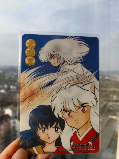 没想到挖煤姬还可以切闪电市场！第一次使用！非常迅速而且竹蜻蜓KR线发货也很快，到国内也很快～让我如愿以偿收到美丽的pp卡～超赞的～