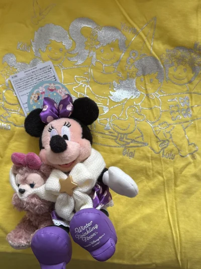 首先是88TEES品牌的短袖 这件衣服特别新 还带标签 是少见的大码！然后是东迪2022年米妮抱雪莉玫 母与女超好价 还有就是88TEES的包包～整个购物流程一如既往的顺利和愉快！开心！?