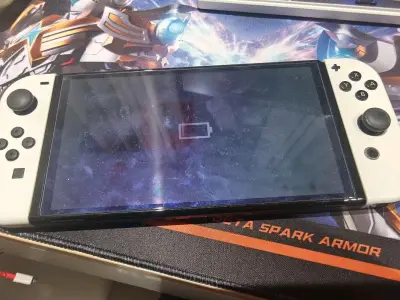 Switch东西不错，但这次价格跟国内差不多，电子产品日本价格还是差不多的，东西不错，服务很好，功能完善，强烈推荐