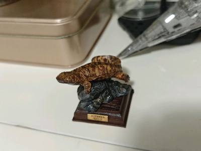 整体体验感特别好，从流程到服务都很顺畅，细节处理得很用心。环境舒适，节奏也恰到好处，没有多余的繁琐步骤，让人感觉轻松又舒心。无论是互动还是实际使用，都超出预期，体验感拉满，值得推荐，下次还愿意再来尝试。