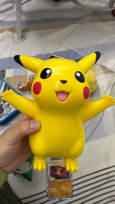 这单终于也到啦，拍这一大单为了这个大号终极可动土台龟，收藏加一，稀有的噩梦神点触笔也一并收入囊中，随之而来的还有好几个皮卡丘，好大的电动皮耗子，还有毛绒和手办，很喜欢，发货也挺快这次，打包得很好