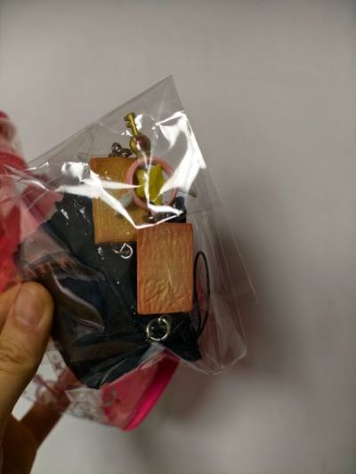 买到一些小玩意，本来物流想用竹蜻蜓，但居然有限制，只能寄其他快递了，不过速度还是挺快的，希望竹蜻蜓的范围以后扩大可寄范围