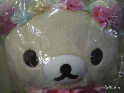 可爱的有乐町熊妹终于到了，头上的花朵，手捧着郁金香 ，穿着格纹小裙子。挖煤姬竹蜻蜓速度快，包装合适。


