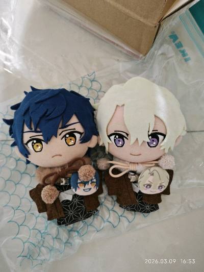 这次是在雅虎切了偶像梦幻祭的毛绒制品和煤炉拍卖拍下的偶像梦幻祭杂物。使用了积分抵扣日本邮政路线的国际运费。整体来说实惠方便快捷，是一次满意的购物体验。