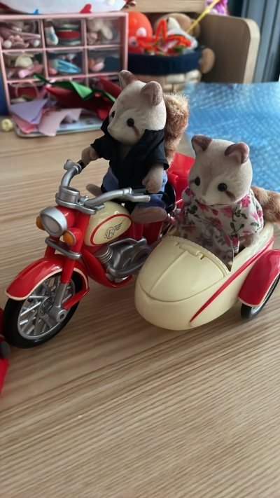 今天收到了第203个包裹，买的是森家比较抢手的摩托车套和鼹鼠套，加上运费才不到400，同款东西在某鱼身上买，最多买到一个鼹鼠家，真是很实惠的。