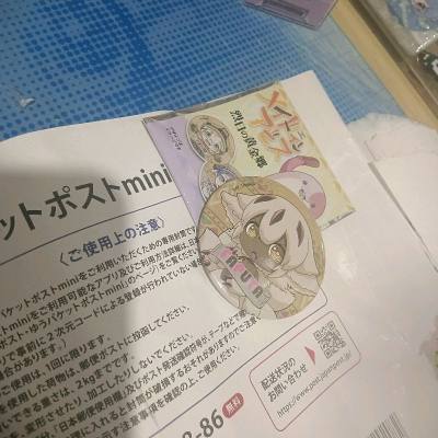 特别可爱的法仆塔！在国际物流中算是很快了 商家还贴心的给了原袋 吧唧没有任何损伤 快递内部也放了泡沫纸 很棒的购物体验