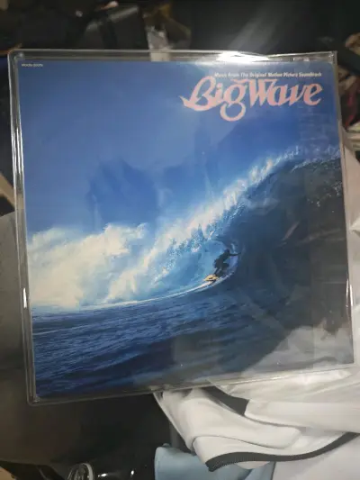 这次在挖煤姬入手了山下達郎的经典神专《Big Wave》黑胶LP，整个体验堪称完美！代拍环节响应迅速，自动翻译功能彻底解决了日语沟通障碍，卖家古城也很靠谱，商品描述和实物完全一致。
合箱打包时工作人员格外细心，外箱用硬纸板加固，内部填充了大量气泡膜和缓冲纸，把唱片和...这次在挖煤姬入手了山下達郎的经典神专《Big Wave》黑胶LP，整个体验堪称完美！代拍环节响应迅速，自动翻译功能彻底解决了日语沟通障碍，卖家古城也很靠谱，商品描述和实物完全一致。
合箱打包时工作人员格外细心，外箱用硬纸板加固，内部填充了