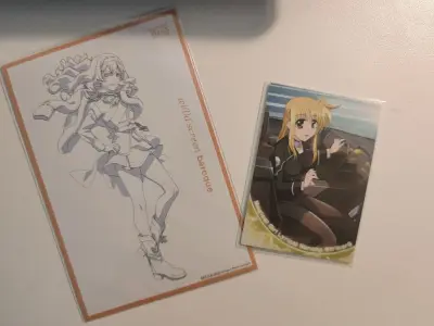 这是我第一次使用挖煤姬的任意买功能，在谷歌刷到了想买很久的文件夹，但是没有购买途径，研究了一番后选择了任意买功能，虽然过程忐忑，但最终安心下车，实物美美！