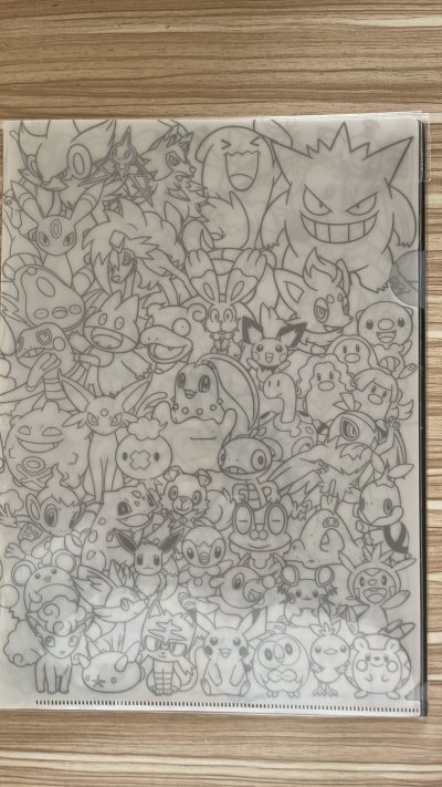 宝可梦 口袋妖怪 A4 文件夹  两张文件夹一起 初代宝可梦角色轮廓，皮卡丘、伊布、御三家 宝可梦集合大全 感谢挖煤姬代购 