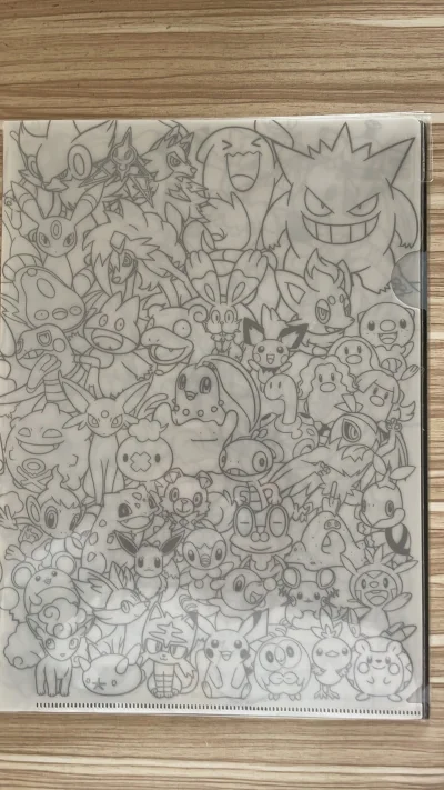 宝可梦 口袋妖怪 A4 文件夹  两张文件夹一起 初代宝可梦角色轮廓，皮卡丘、伊布、御三家 宝可梦集合大全 感谢挖煤姬代购 